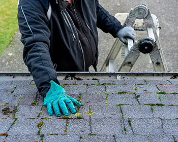 Roof Cleaning